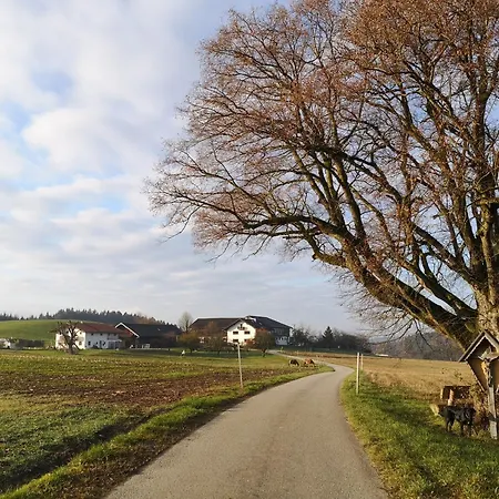 Séjour à la ferme Beim Surauer